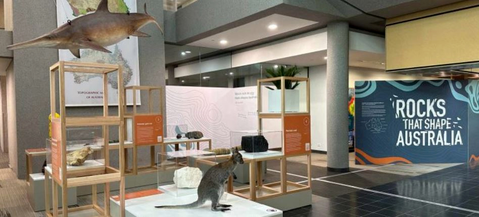 An indoor exhibition space showing a number of rock samples. Notable elements are a model of a large marine reptile in the top left corner, a stuffed wallaby bottom front and a sign on the right hand side reading ‘Rocks that Shape Australia’.