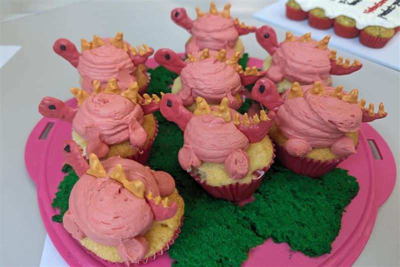 Earth science Bake off