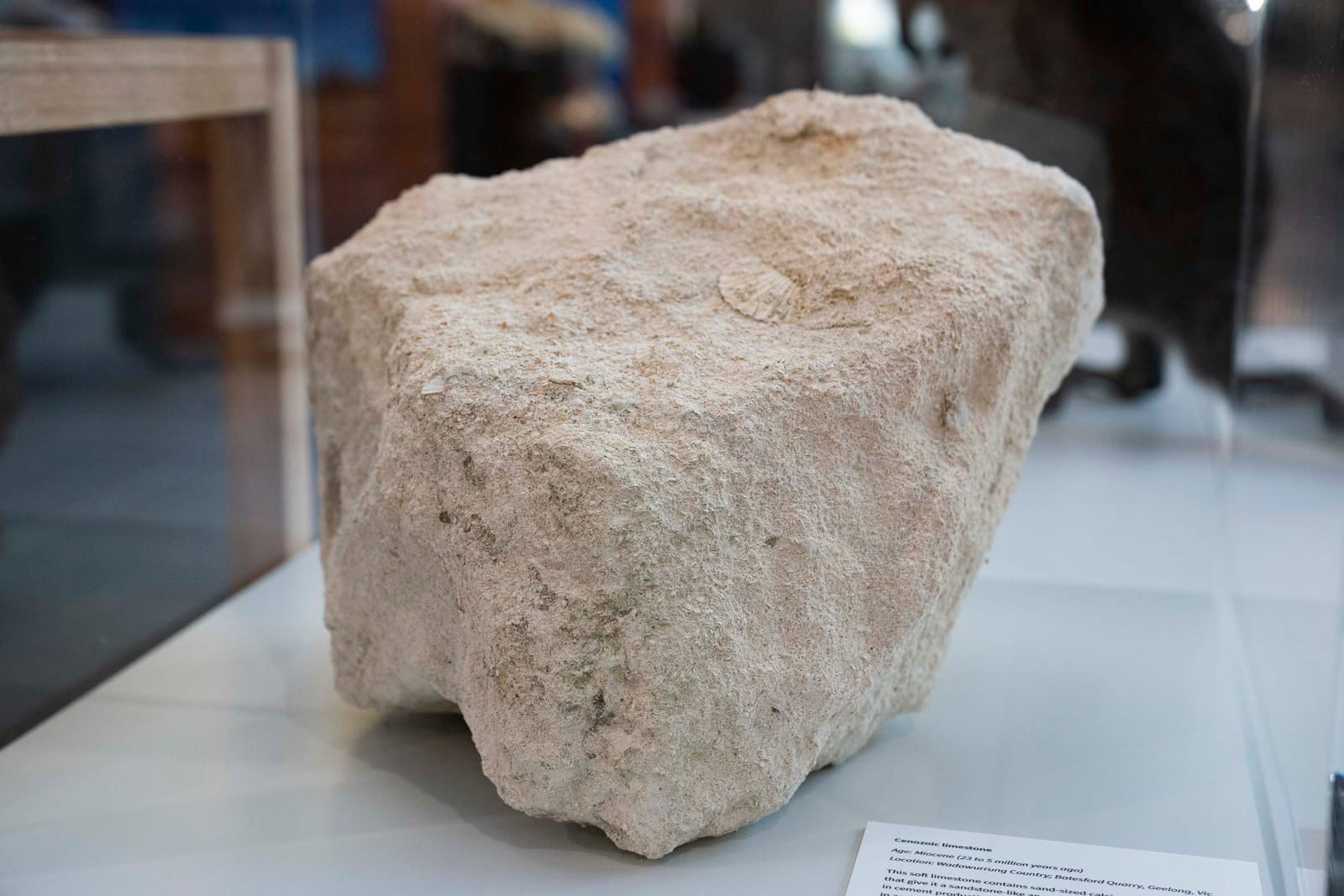 Cenozoic limestone