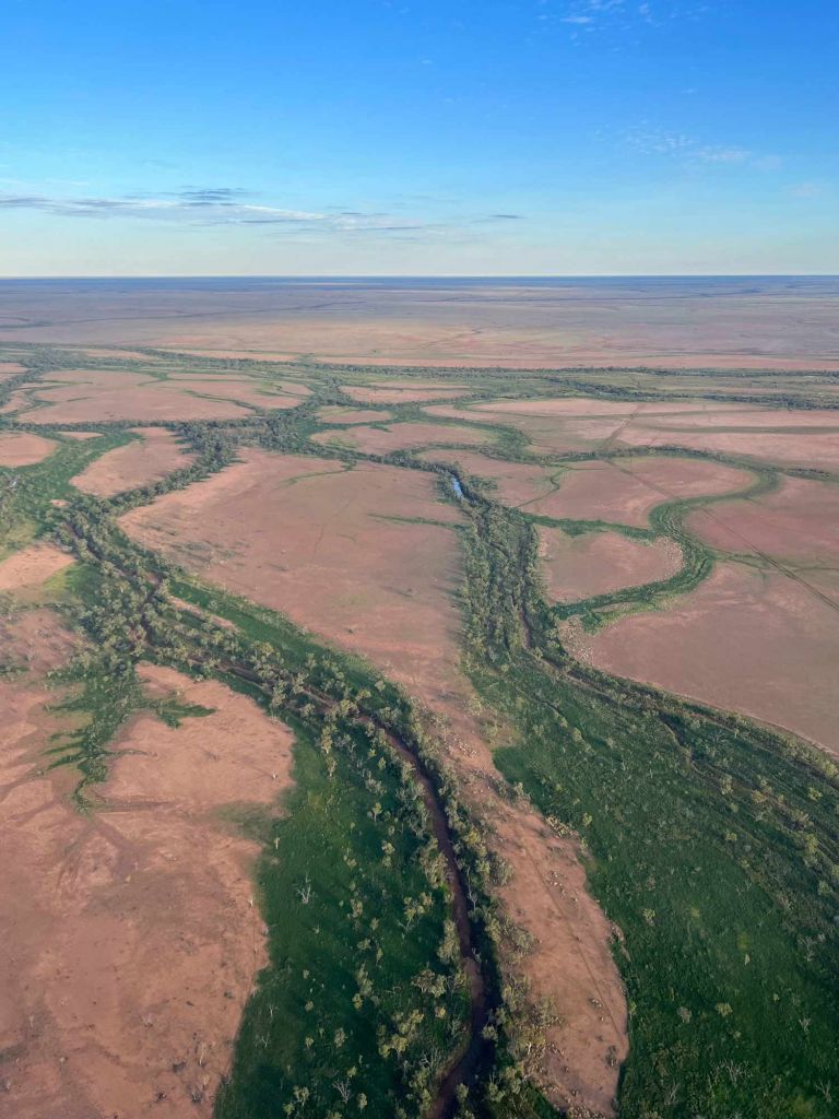 Inland plains of Queensland with thick green vegetation following river beds.
