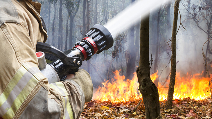 Bushfire | Geoscience Australia