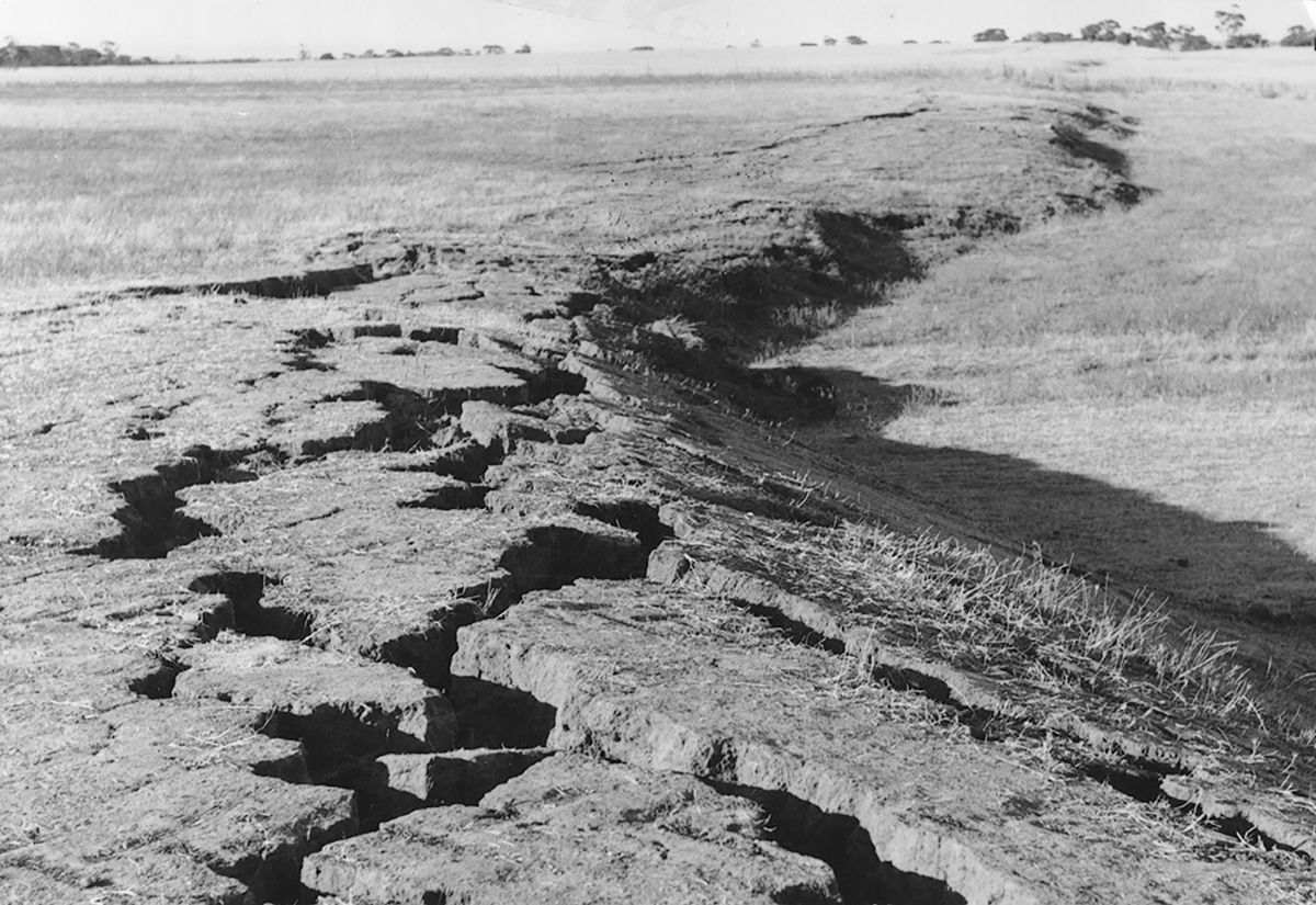 Field photograph of part of the fault scarp