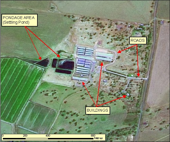 Figure: 2.7.1.2 SPOT Pseudo-natural 2.5m