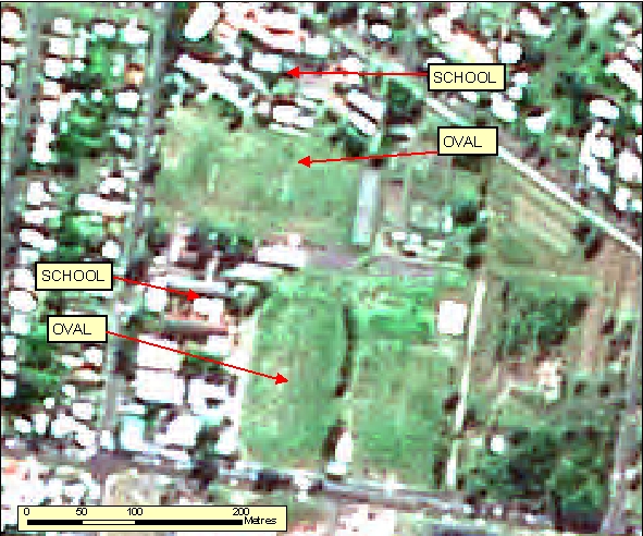 Figure: 2.1.3.1b SPOT Pseudo-natural 2.5m RGB=123