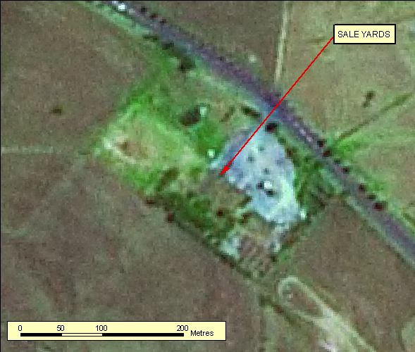 Figure: 2.4.5.2b SPOT Pseudo-natural 2.5m