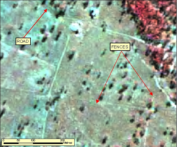 Figure: 2.2.2.2b SPOT 2.5m RGB=321