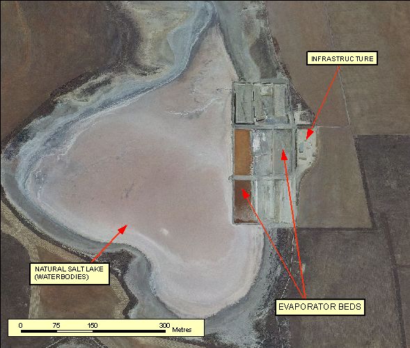 Figure: 2.3.3.7 Orthophotography 50cm RGB=123