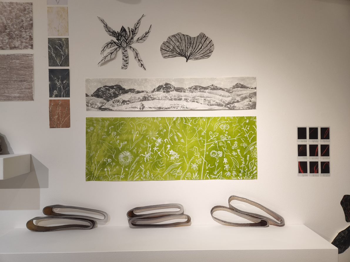 The CONFLUENCE collection