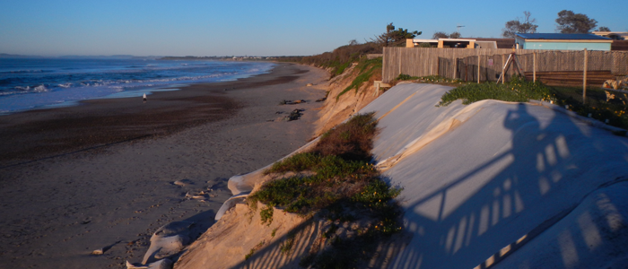 A photo of the actively eroding dune face at Old Bar on the central coast of New South Wales, as seen in June 2015.