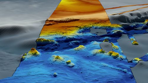 Screenshot of portal