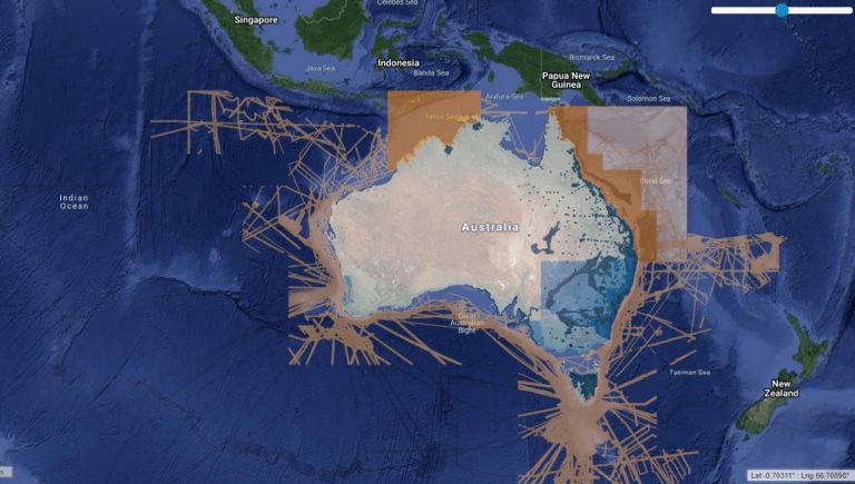 Screenshot of ELVIS application