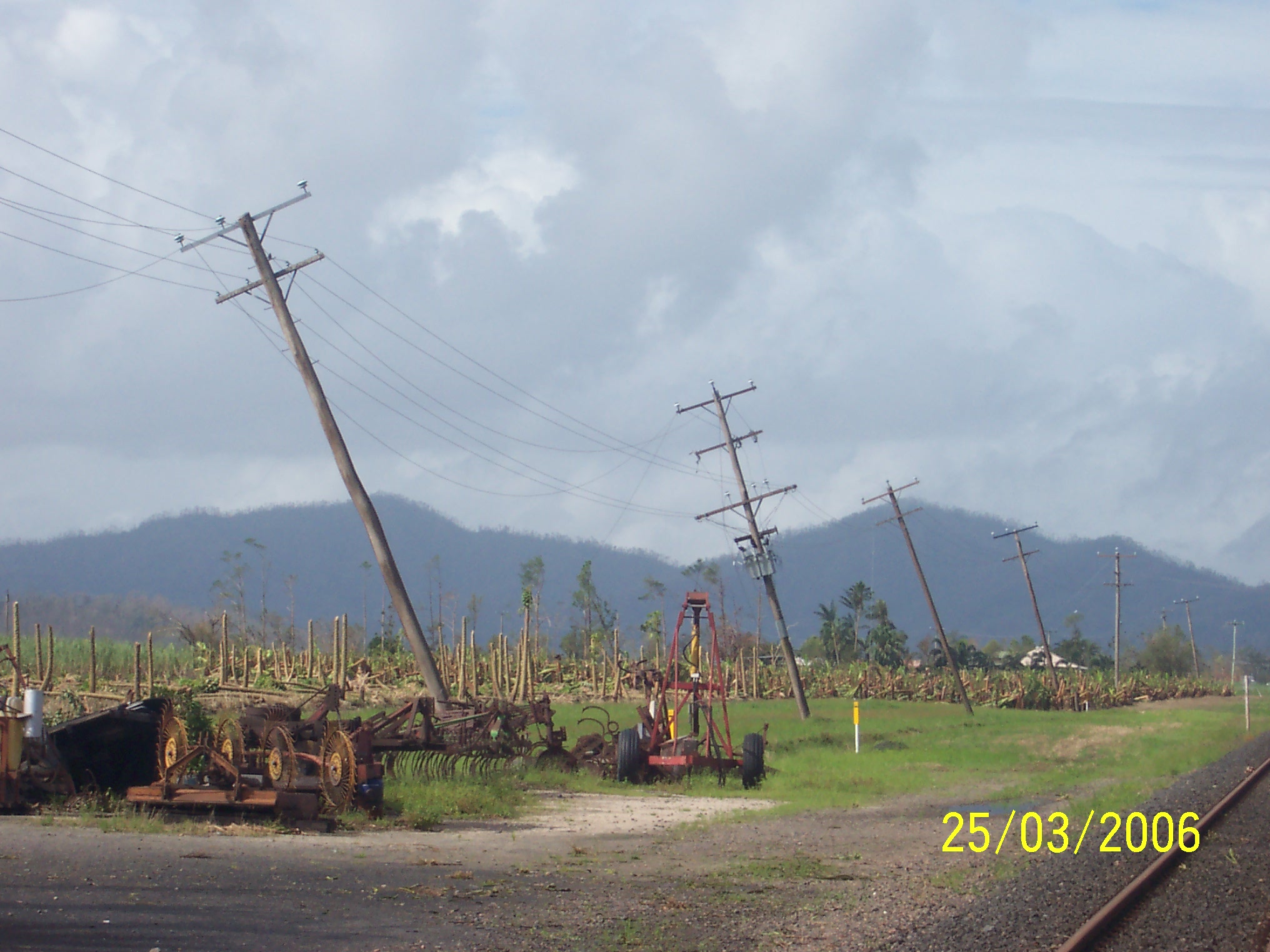 Leaning electricity poles in front of destroyed papaya trees after Tropical Cyclone Larry