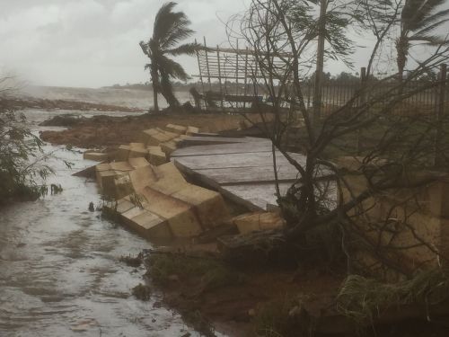 Tropical Cyclone damage with fallen trees