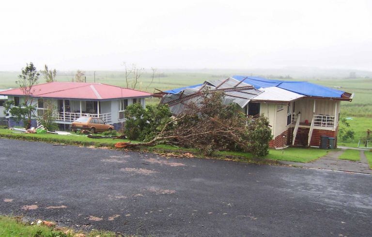 A collapsed tree in front of a house with a damaged roof