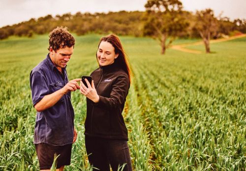 Man and long-haired woman stand in green crop touching shared mobile phone