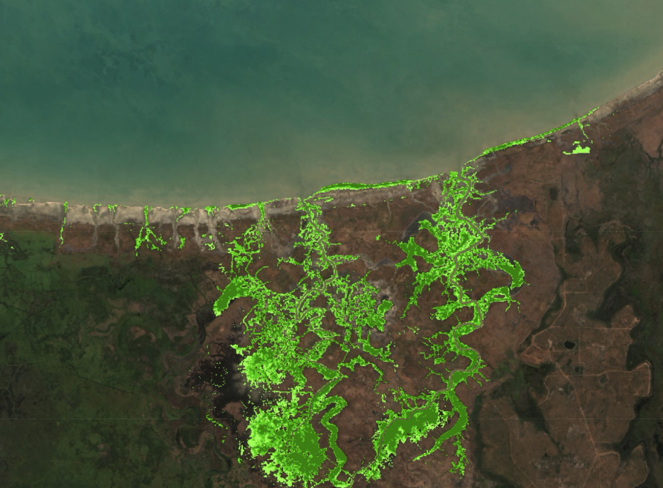 satellite image of branching fluorescent green waterways on brown land near coast