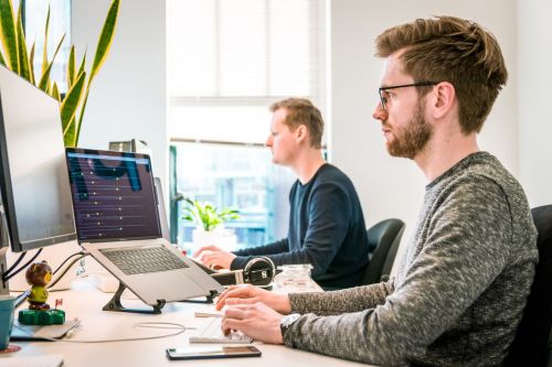 Two white men wearing jumpers work at computers in a well-lit office with pot-plants