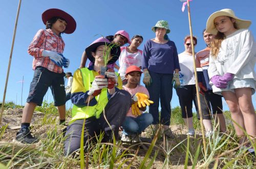 Community group at tree planting event gather around woman in fluorescent vest