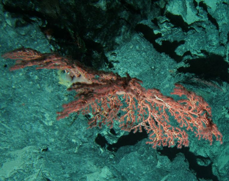 Due to the limited audience of this diagram and its complexity, no alternative description has been provided. Please email clientservices@ga.gov.au