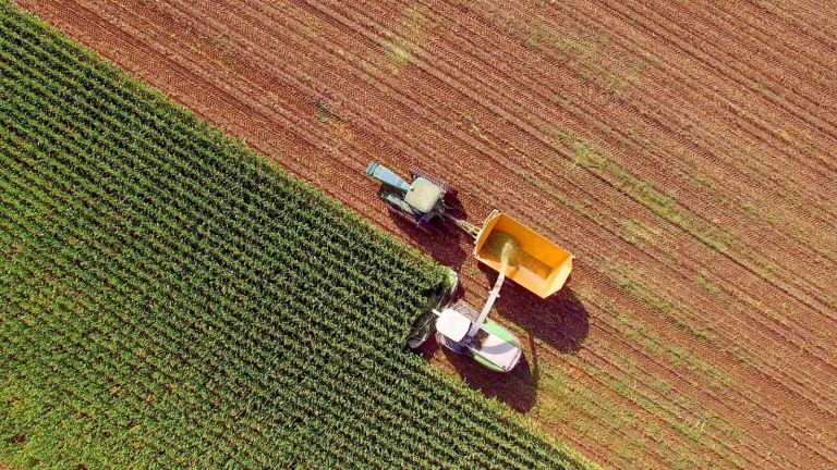 Farm machines harvesting corn for feed or ethanol. The entire corn plant is used, no waste.