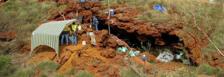 people standing next to a cave while working to preserve a cultural heritage site