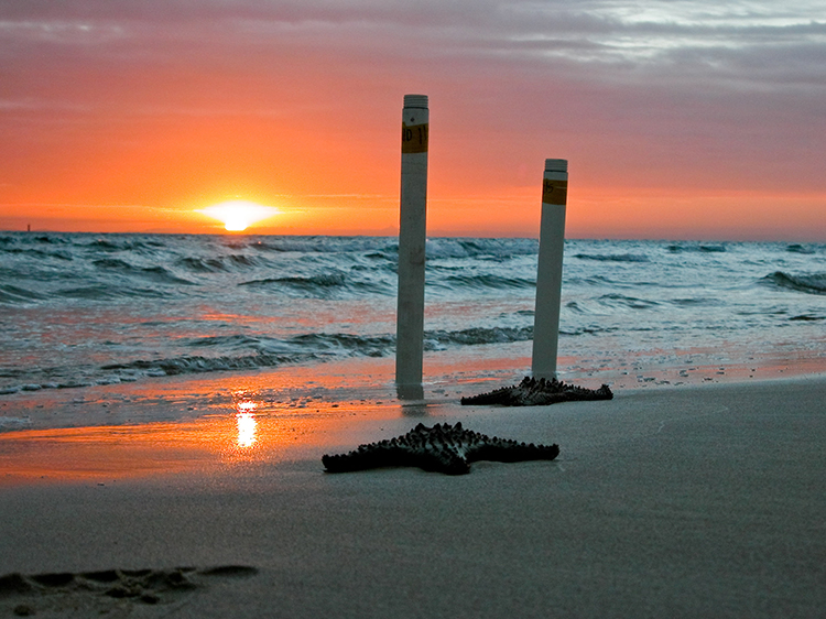 Sunset over a beach with waves and starfish, two plastic pipes in the foreground house instrumentation to monitor groundwater.