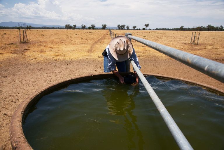 Farmer collecting water