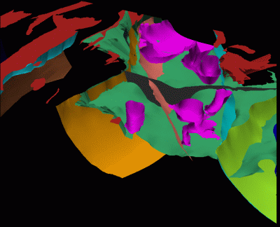 Screen capture of the Leonora-Laverton model showing rock volumes and fault planes