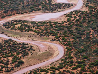 Image. A waterway in semi-arid Australia.