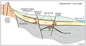 Fig 4.   Diagrams showing proposed model. Uranium is carried in oxidised groundwaters and reduced by hydrocarbons and/or H2S released from the underlying oil and/or gas field.