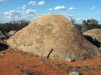 Fig 2.   Outcrop of Mesoarchean granite.