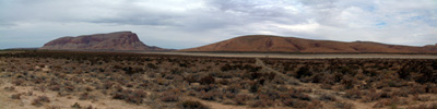 Image: Arid zone landscape.