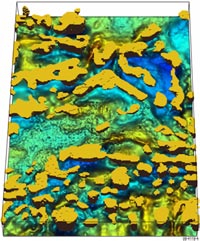 Figure 4. 3D model viewed obliquely from south of inferred sub-sediment granitic bodies overlying an image of gravity data
