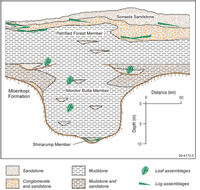 Figure 5. Schematic cross-section of the Painted Desert paleovalley showing stratigraphic relationships of members of the Chinle Formation. Uranium mineralisation is located predominantly in the Shinarump Member. Modified after Demko (2003).