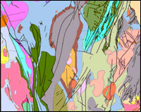 Forbes basement geology map