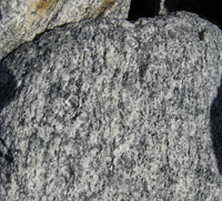 Fig 3. The Cape Denison Orthogneiss, one of the two dominant rock types found at Cape Denison.