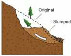 Landslide - slump