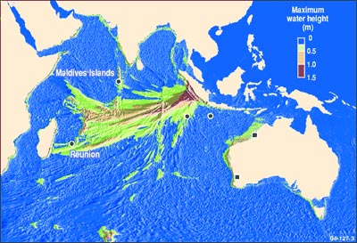 Figure 2. Calculated maximum amplitude of the tsunami caused by 1833 Sumatra earthquake. 