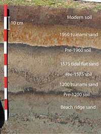 Fig 3.	Example of tsunami sediment sheets, soil profiles and tidal flat deposits in stratigraphic sequence.