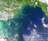Fig 1. Satellite image of elevated turbidity in the Gulf of Papua.